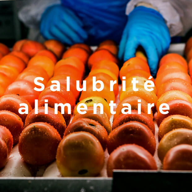Food Safety