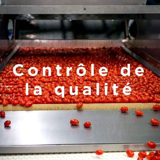 Quality Control
