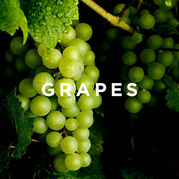 Grapes