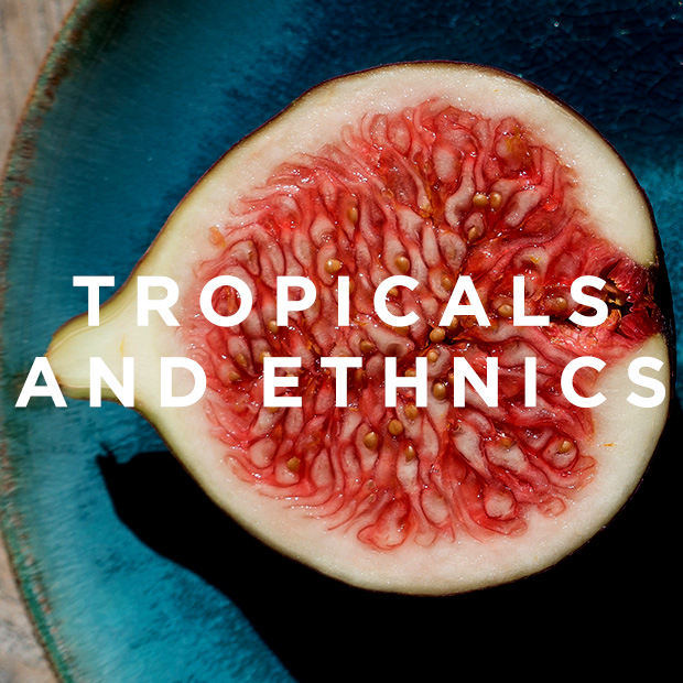 Tropicals & Ethnics