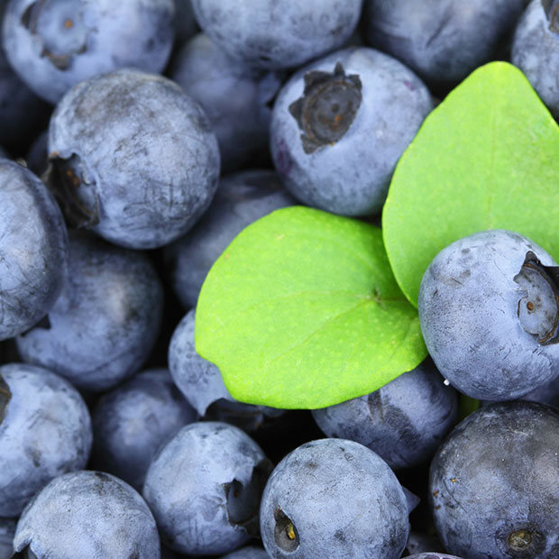 blueberries